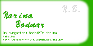 norina bodnar business card